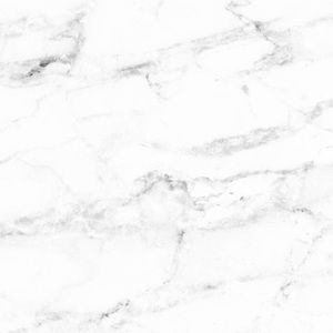 Meet your Posher, Reina